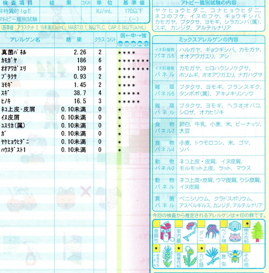 特色 白木ふそう耳鼻咽喉科 アレルギー科オフィシャルサイト 愛知県丹羽郡扶桑町